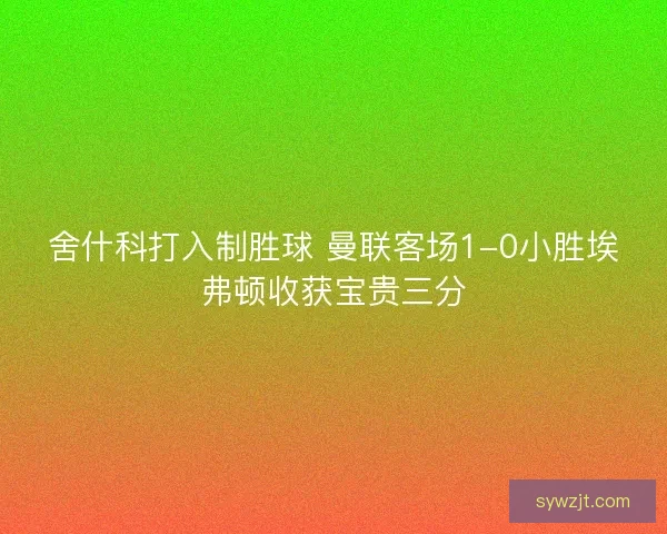 舍什科打入制胜球 曼联客场1-0小胜埃弗顿收获宝贵三分