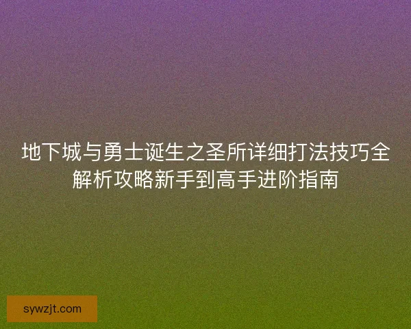 地下城与勇士诞生之圣所详细打法技巧全解析攻略新手到高手进阶指南