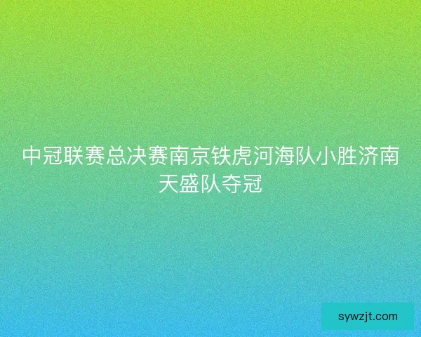 中冠联赛总决赛南京铁虎河海队小胜济南天盛队夺冠