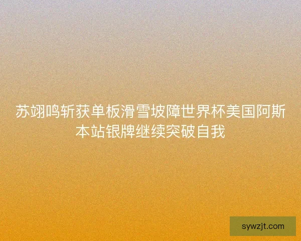 苏翊鸣斩获单板滑雪坡障世界杯美国阿斯本站银牌继续突破自我